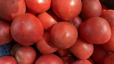 Similar image 21174325