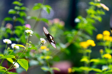 Similar image 21174326