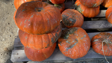 Similar image 21188945