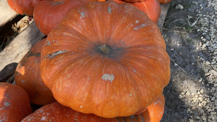 Similar image 21177923