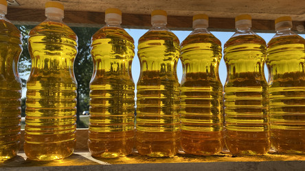 Similar image 21174327