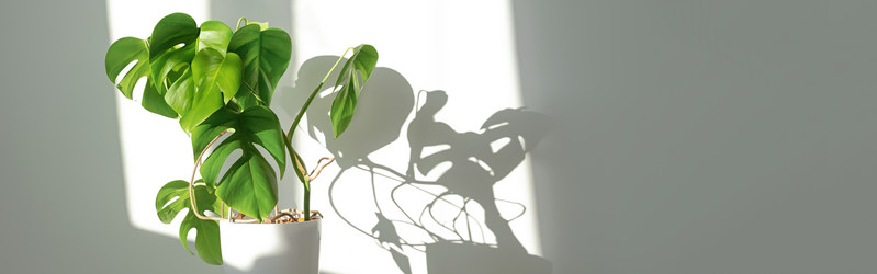 Similar image 21175097