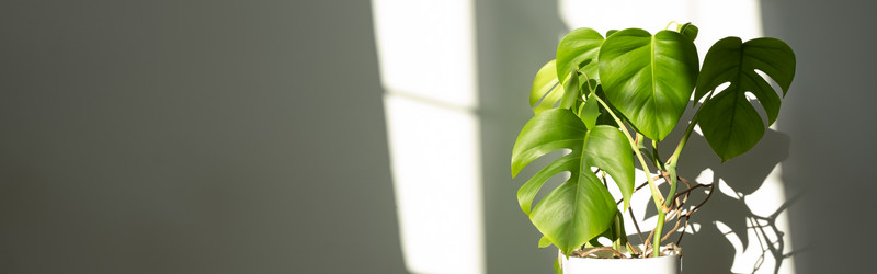 Similar image 21187491