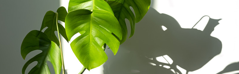 Similar image 21187493