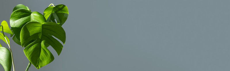 Similar image 21187494