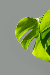 Similar image 21187495