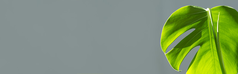 Similar image 21187497