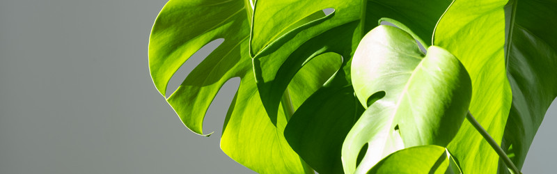 Similar image 21202082