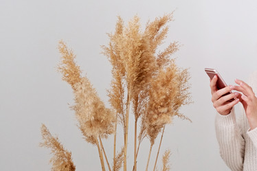 Similar image 21202096