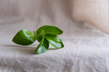 Similar image 21202107