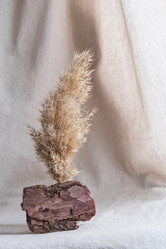 Similar image 21202283