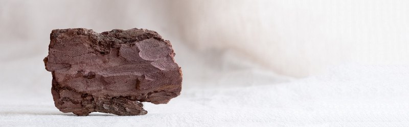 Similar image 21202291