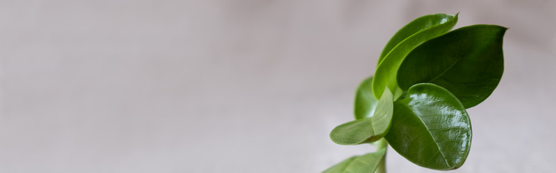 Similar image 21202293