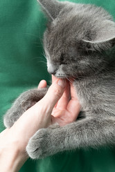 Similar image 21187498