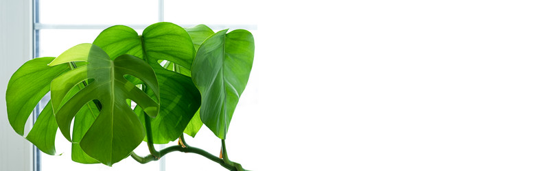 Similar image 21187499