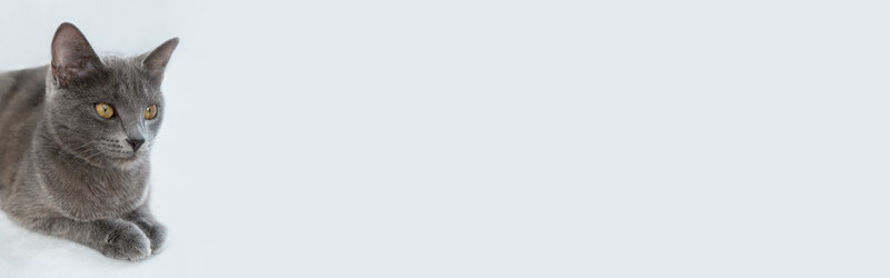 Similar image 21187500