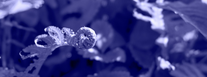 Similar image 21202121