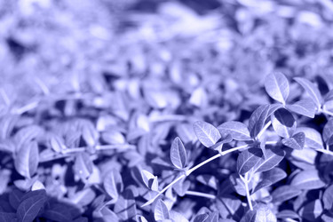 Similar image 21202123