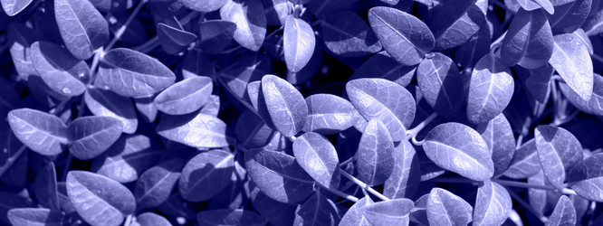 Similar image 21202124