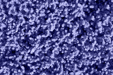 Similar image 21202130