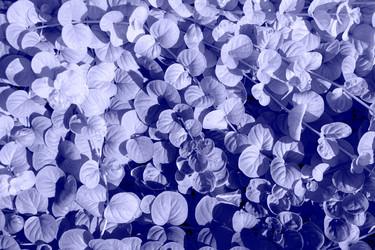 Similar image 21202132