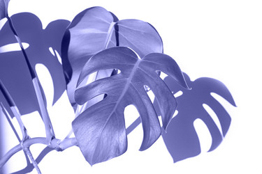 Similar image 21202133