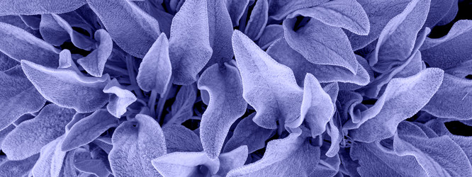 Similar image 21202137