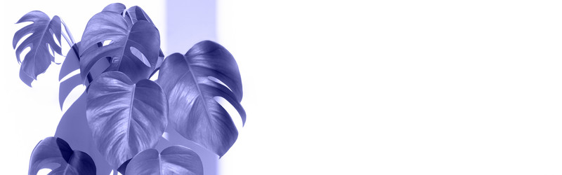 Similar image 21202138