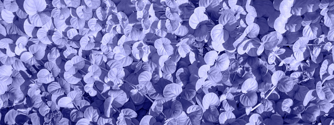 Similar image 21202294