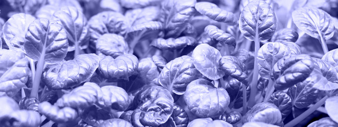 Similar image 21202297