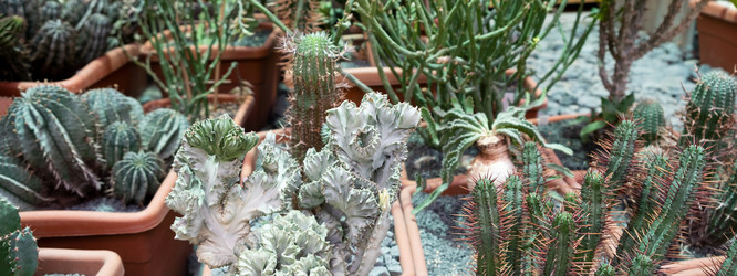 Similar image 21175101