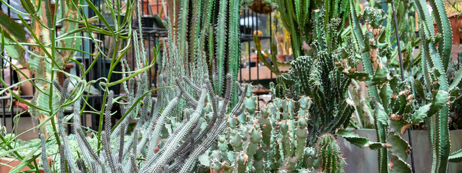 Similar image 21175102