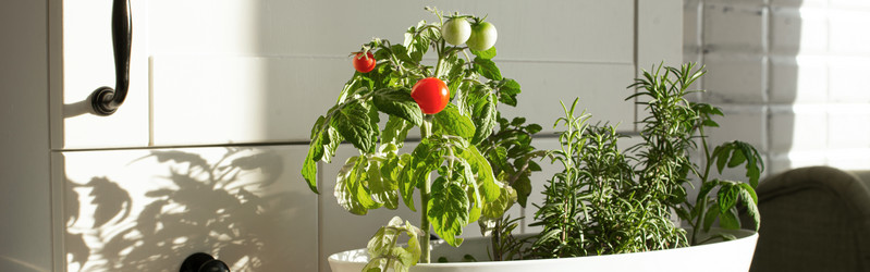 Similar image 21187508