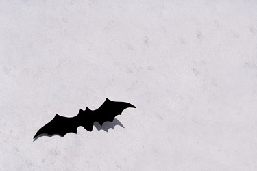 Similar image 21202141