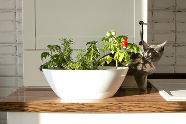 Similar image 21202145