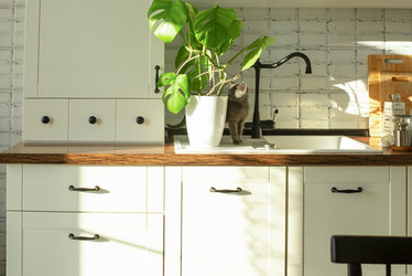 Similar image 21202161