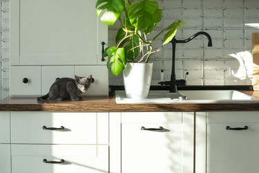 Similar image 21202162