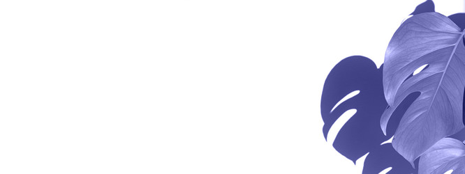 Similar image 21202164