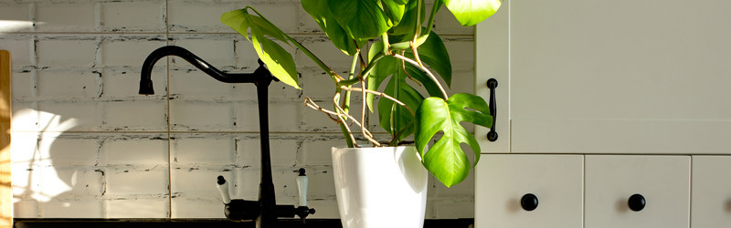 Similar image 21202170