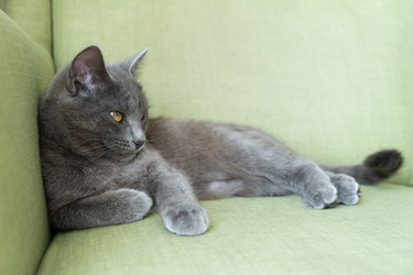 Similar image 21202309