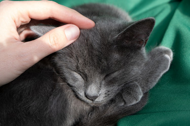 Similar image 21202312