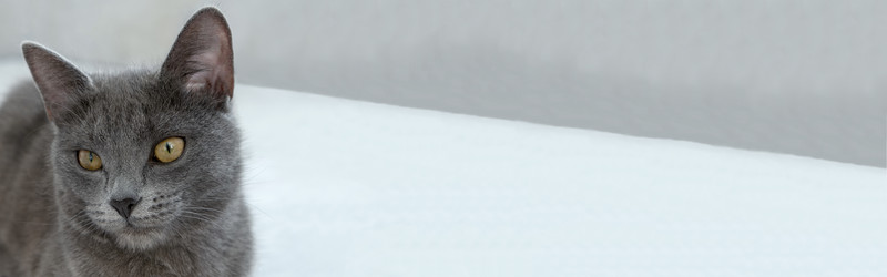 Similar image 21202315