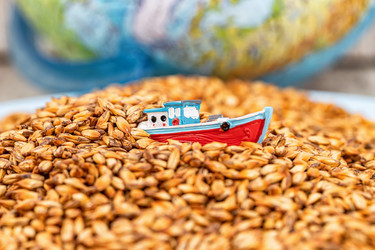 Similar image 21175698