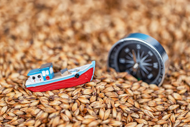 Similar image 21175701