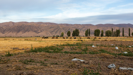 Similar image 21172472