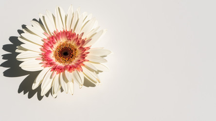 Similar image 21172477