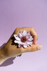 Similar image 21172478