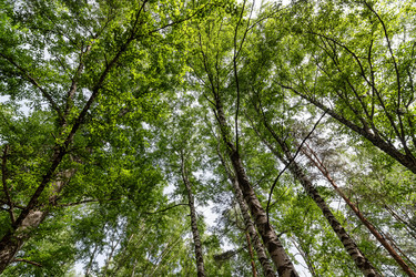 Similar image 21175705