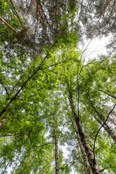 Similar image 21175706