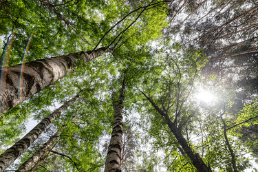 Similar image 21175707